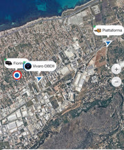 GPS Business - Localizzazione Mezzi con Piattaforma