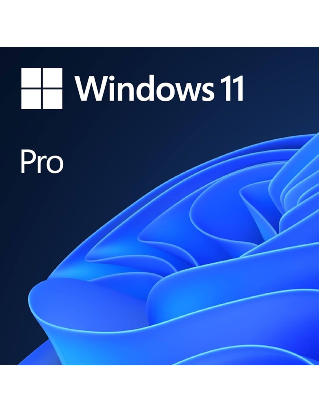 Servizio installazione e attivazione Windows 11 Pro 64 bit
